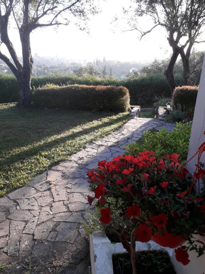 House In The Olive Garden Apartment Agios Ioannis  Exterior photo