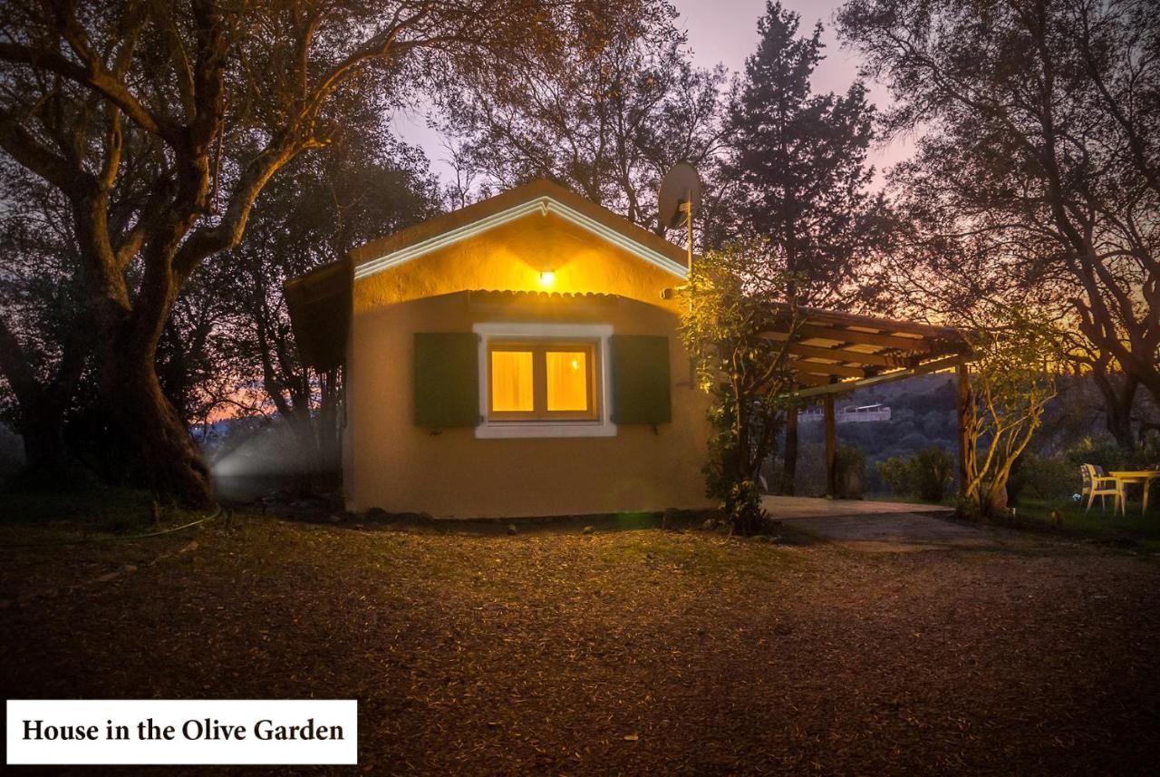 House In The Olive Garden Apartment Agios Ioannis  Exterior photo
