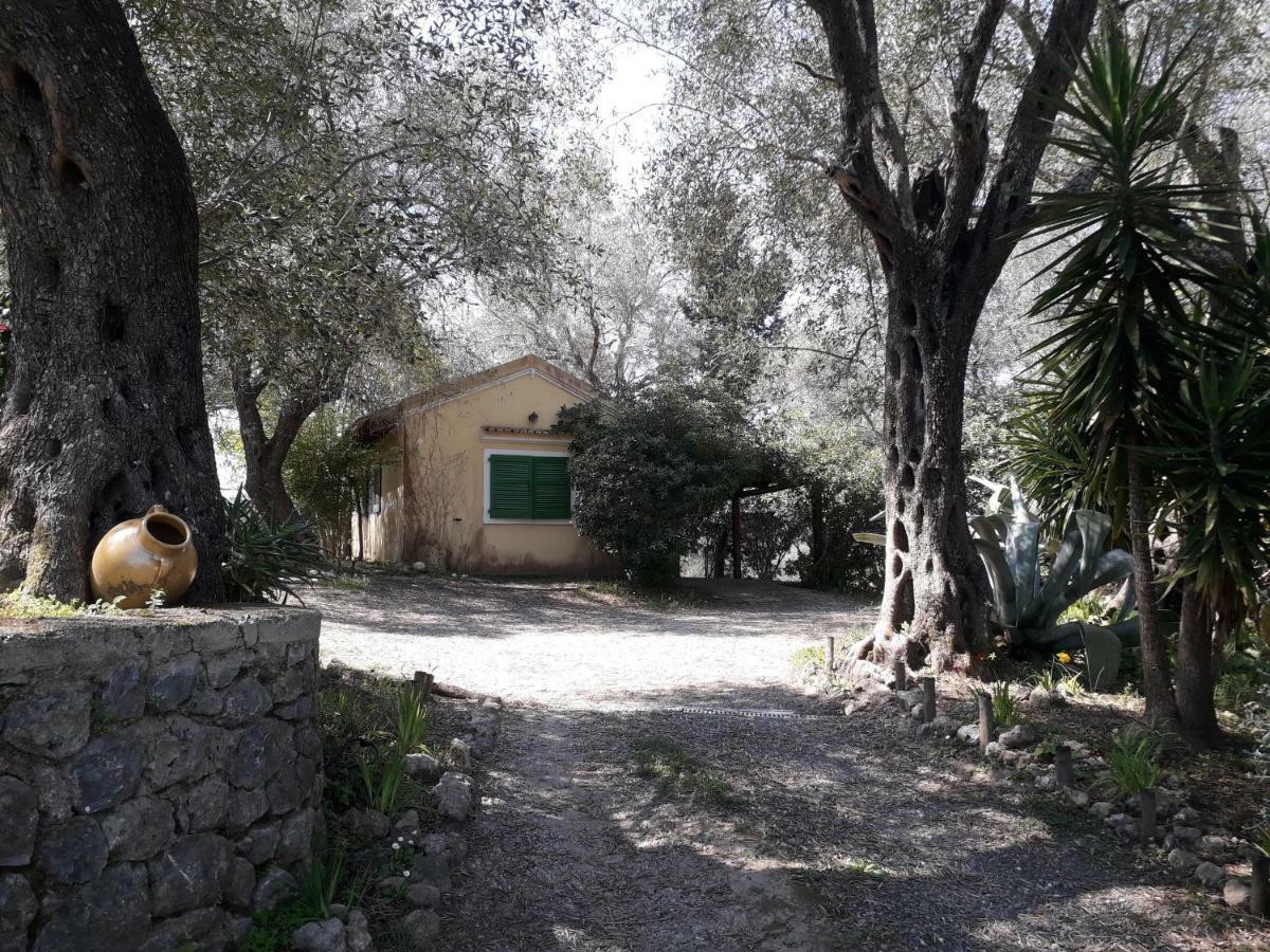 House In The Olive Garden Apartment Agios Ioannis  Exterior photo
