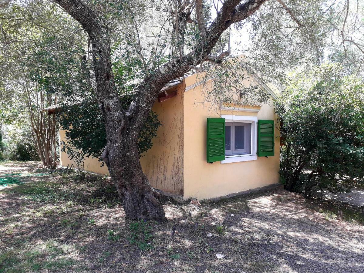 House In The Olive Garden Apartment Agios Ioannis  Exterior photo